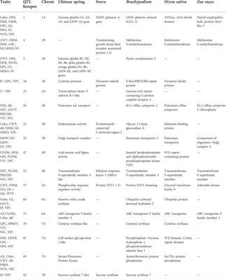 A consensus map for quality traits in durum wheat based on genome-wide association studies and detection of ortho-meta QTL across cereal species